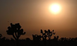 paises enfrentaran eventos extremos calor cada dos anos extremo