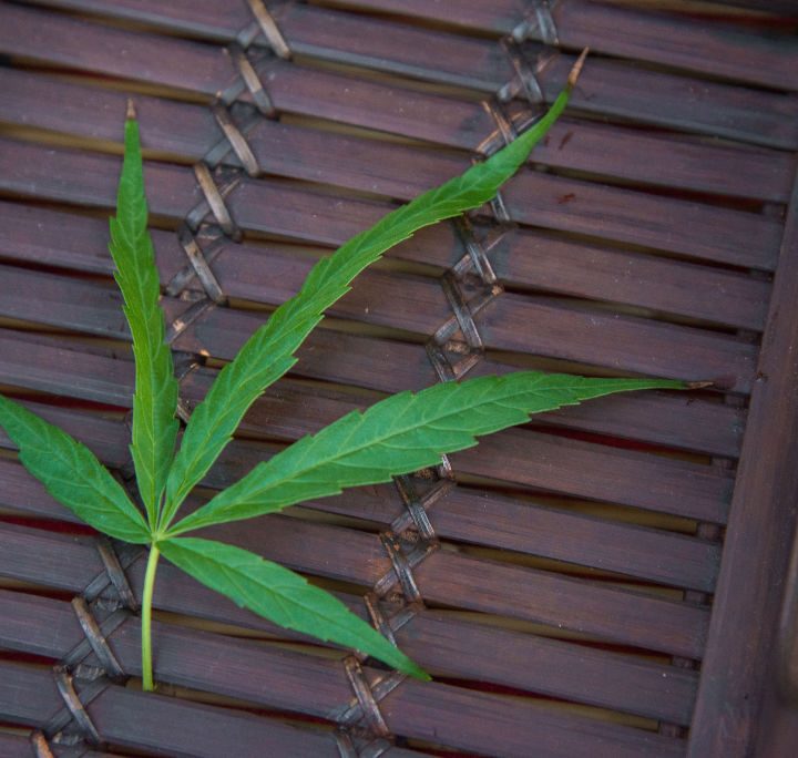 Un estudio sugiere que el consumo recurrente de cannabis podría encoger los testítulos, netre otros impactos a la salud sexual masculina.