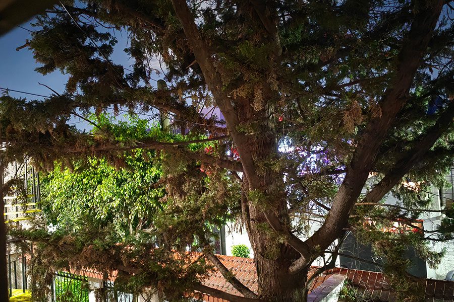 Pantalla de 6.6 pulgadas e incluye una frecuencia de actualización de hasta 120 Hz.