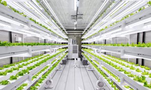 innovaciones foodtech ces 2022 nthing