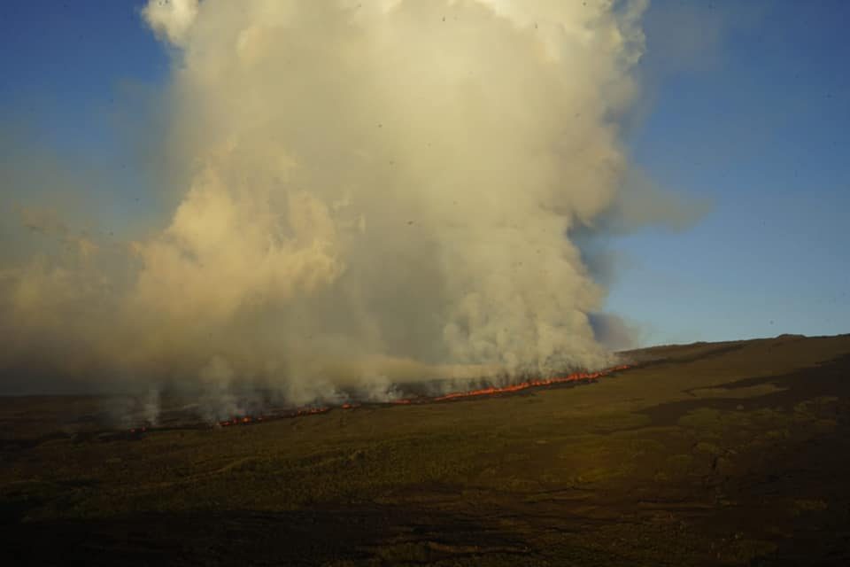 volcan erupcion islas galapagos wolf 4