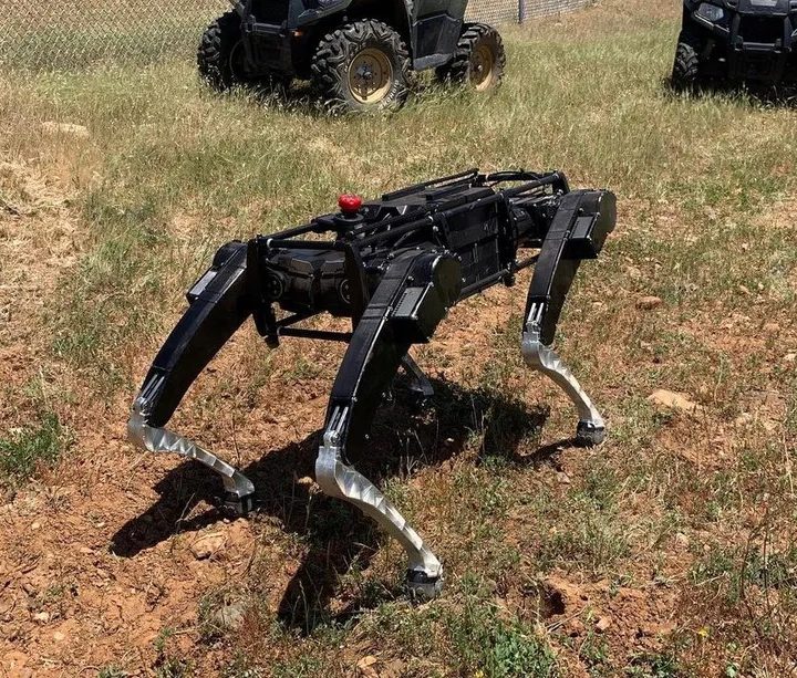 Un perro robot de Ghost Robotics