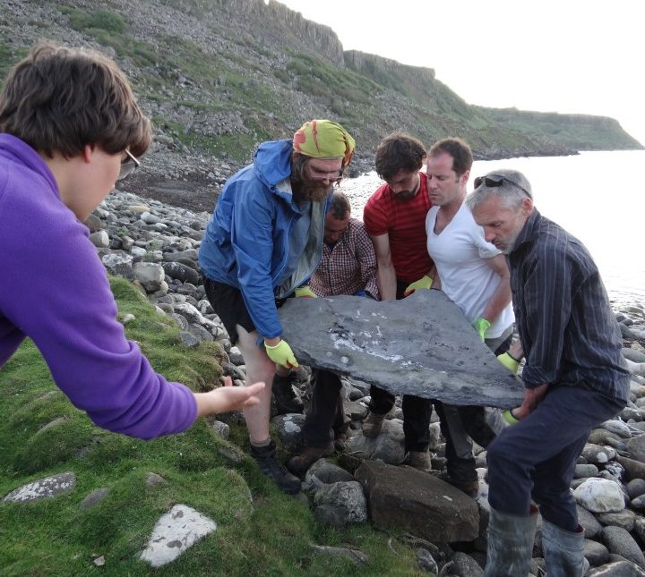 Los restos fósiles de un pterosaurio hallado en Escocia.