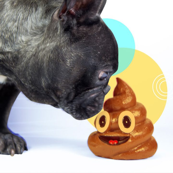 Un perro oliendo un juguete del emoji de caca.