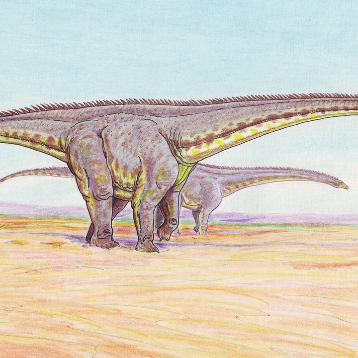 Un equipo de paleontólgoos documenta por primera vez una posible infección respiratoria que provocó tós, fiebre y problemas respiratorios a un dinosaurio.