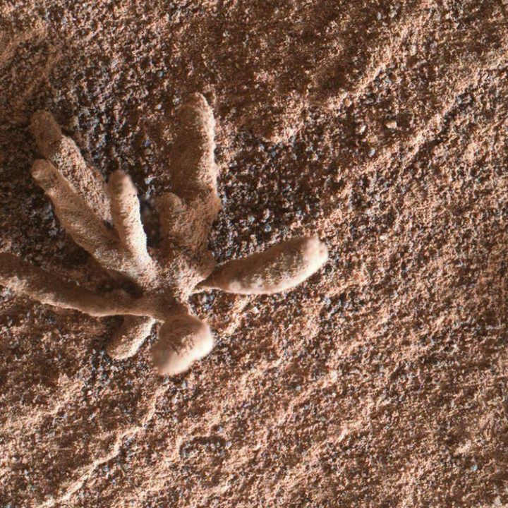 Una imagen de una extraña formación tomada por el rover Curiosity de la NASA en Marte.