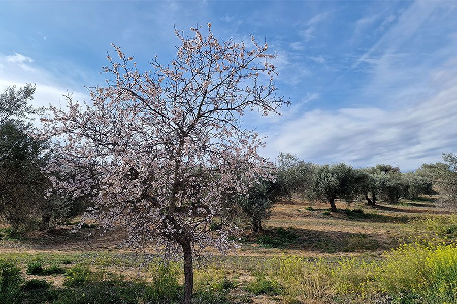 Foto del Galaxy S22 Ultra