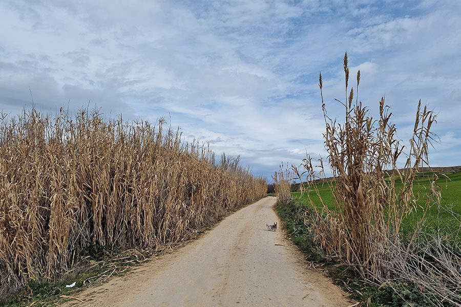 Foto d eun paisaje con Galaxy S22 Ultra