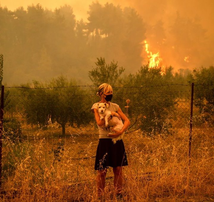 Una mujer sostiene en sus brazos a un perro en medio de un incendio forestal.