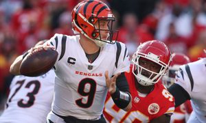 La imagen muestra al equipo de los Bengals de Cincinnati de la NFL.