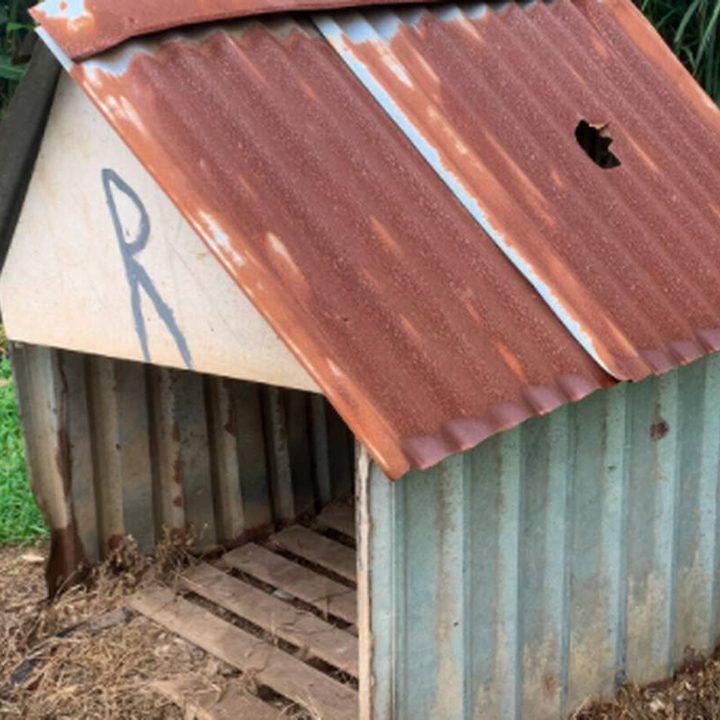 Una casa de perro golpeada por un meteorito.