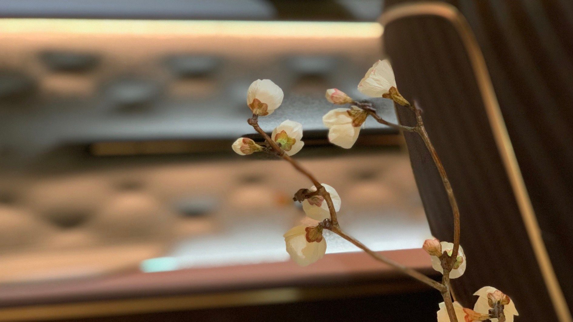 nissan autos electricos eeuu 2025 img 3167