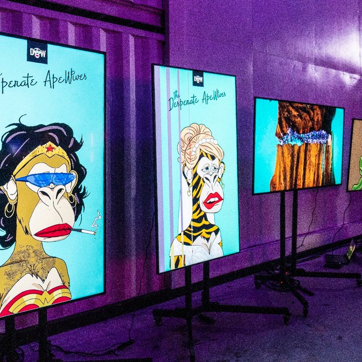 La colección de NFT de The Desperate ApeWives NFT presentada por Marshland, Magnus y FloodFM.com en el Art Basel Miami.
