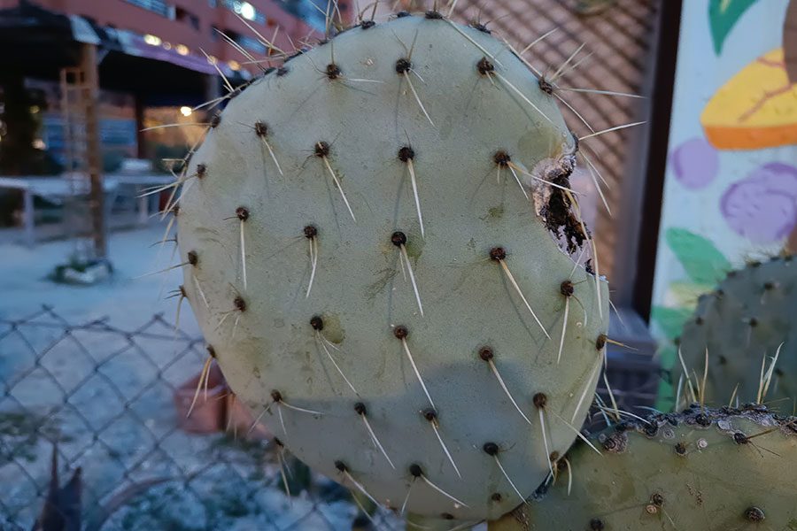 analisis de realme 9 pro un gran celular que cambia color realme9proplus fotos 2 4