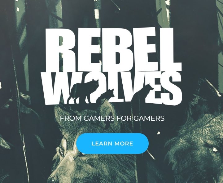 Veteranos desarrolladores que trabajaron The Witcher 3: Wild Hunt y Cyberpunk 2077 fundan Rebel Wolves, un estudio que trabaja en un videojuego de fantasía.