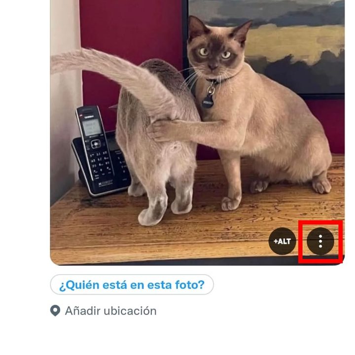 Cómo etiquetar contenido sensible en Twitter