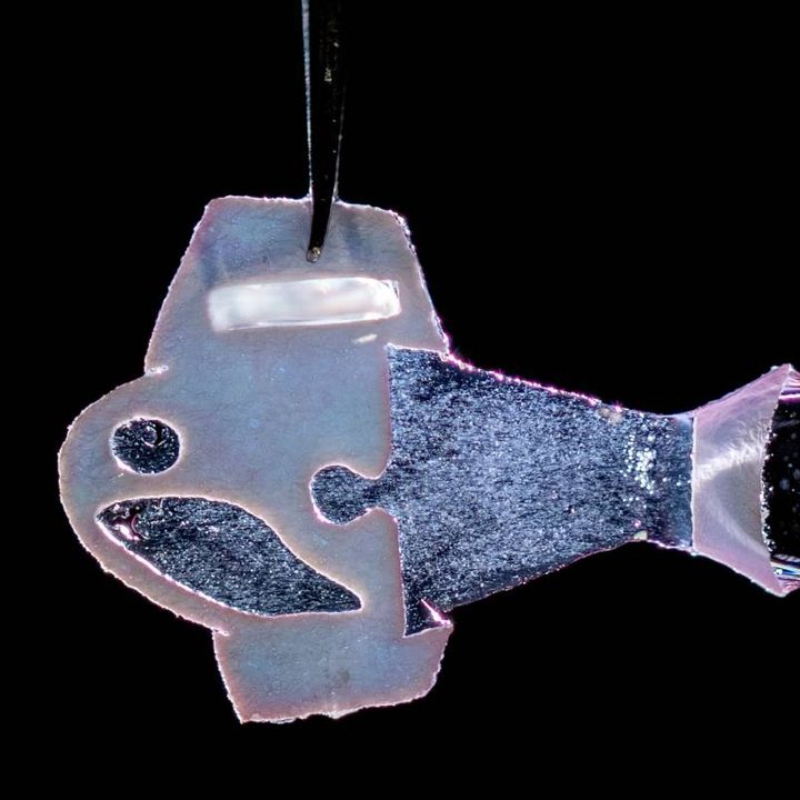 Un pez biohíbrido creado por la Universidad de Harvard.