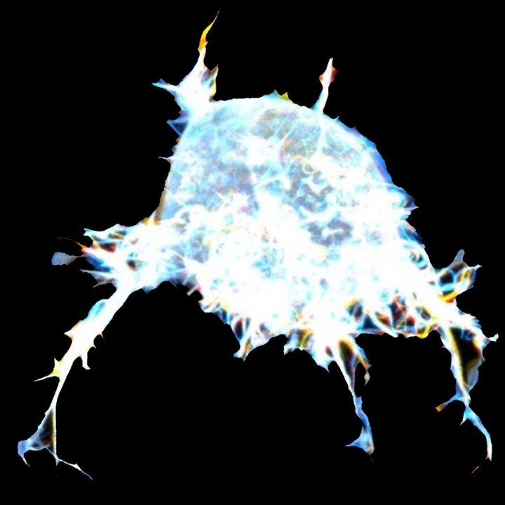 Células cancerosas tienen tentáculos como los de un pulpo