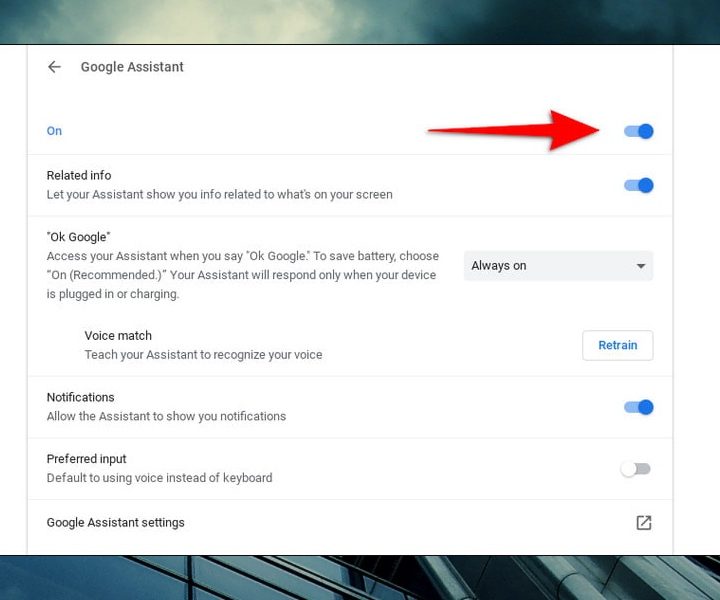 Configuración y los interruptores del Asistente de Google del Chromebook.