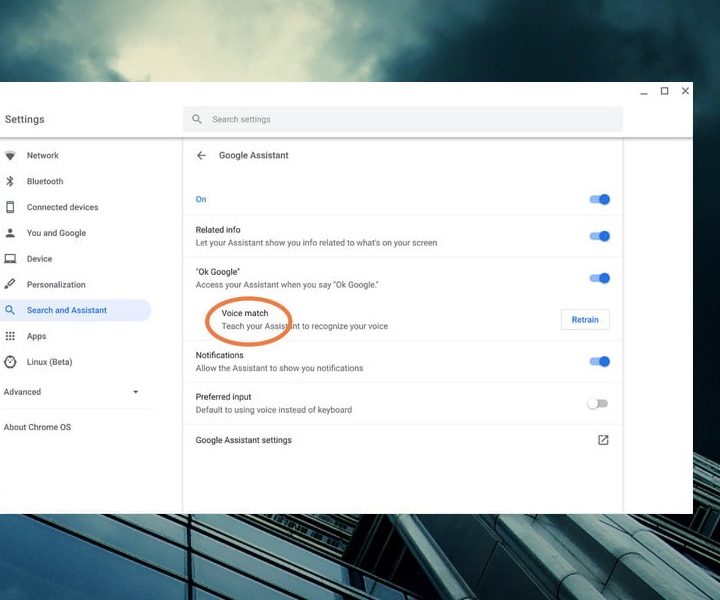 Utiliza la herramienta Voice Match para obtener una mayor precisión.