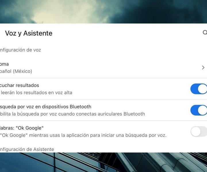 Pantalla de ajustes de la aplicación Hey Google para iPhone.