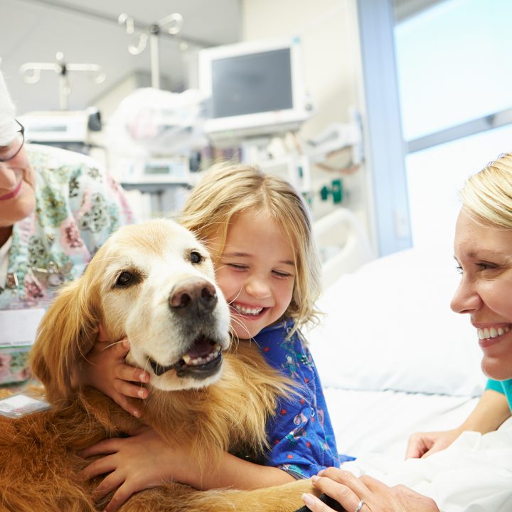 Un perro de terapia al lado de una niña en una sala de un hospital.