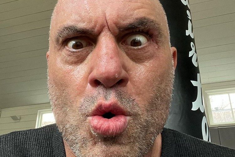 Empleados de las Big Tech son &ldquo;enfermos mentales&rdquo;, seg&uacute;n Joe Rogan