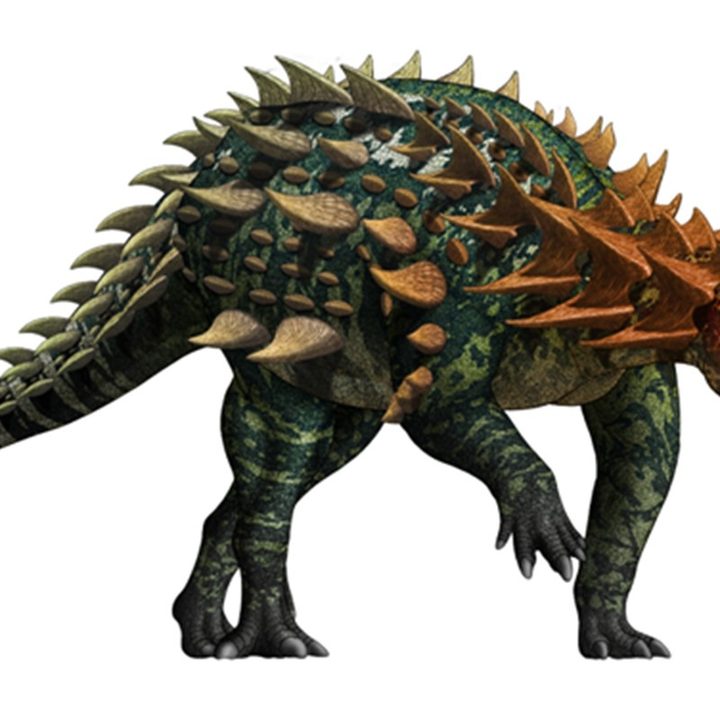 Aparece en China dinosaurio acorazado de hace 200 millones de años
