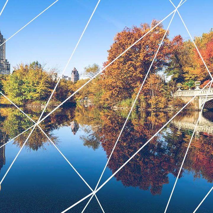 Uno de los parques que "más felices" hacen a los ciudadanos de Estados Unidos.