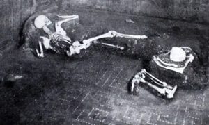 pompeya ruinas genoma humano portada