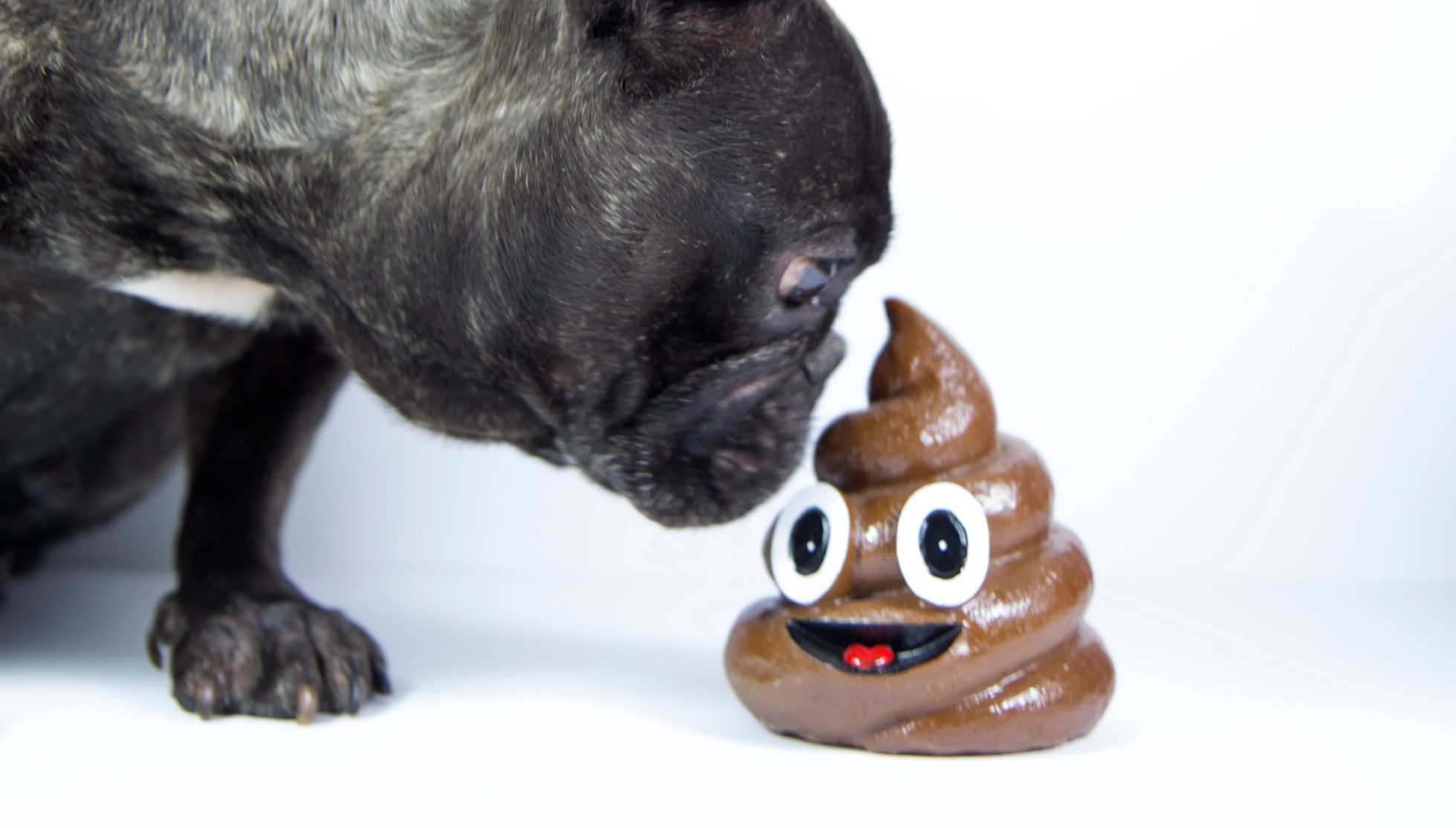 elon musk emoji caca ceo twitter 1