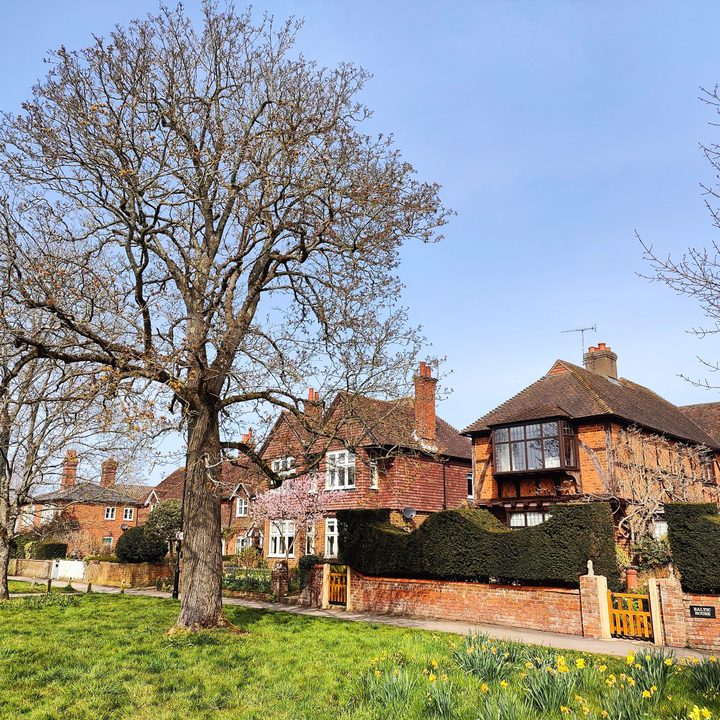 comparativa de camaras oneplus 10 pro vs iphone 13 12