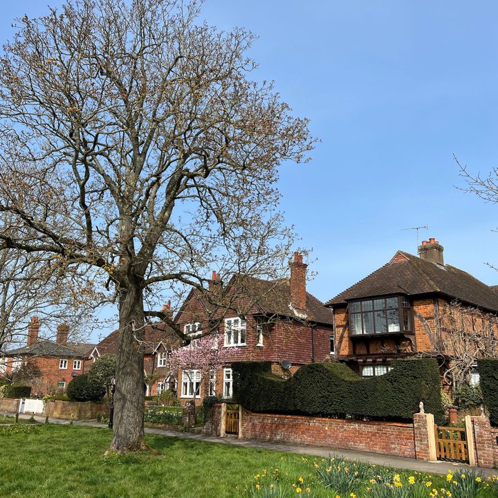 comparativa de camaras oneplus 10 pro vs iphone 13