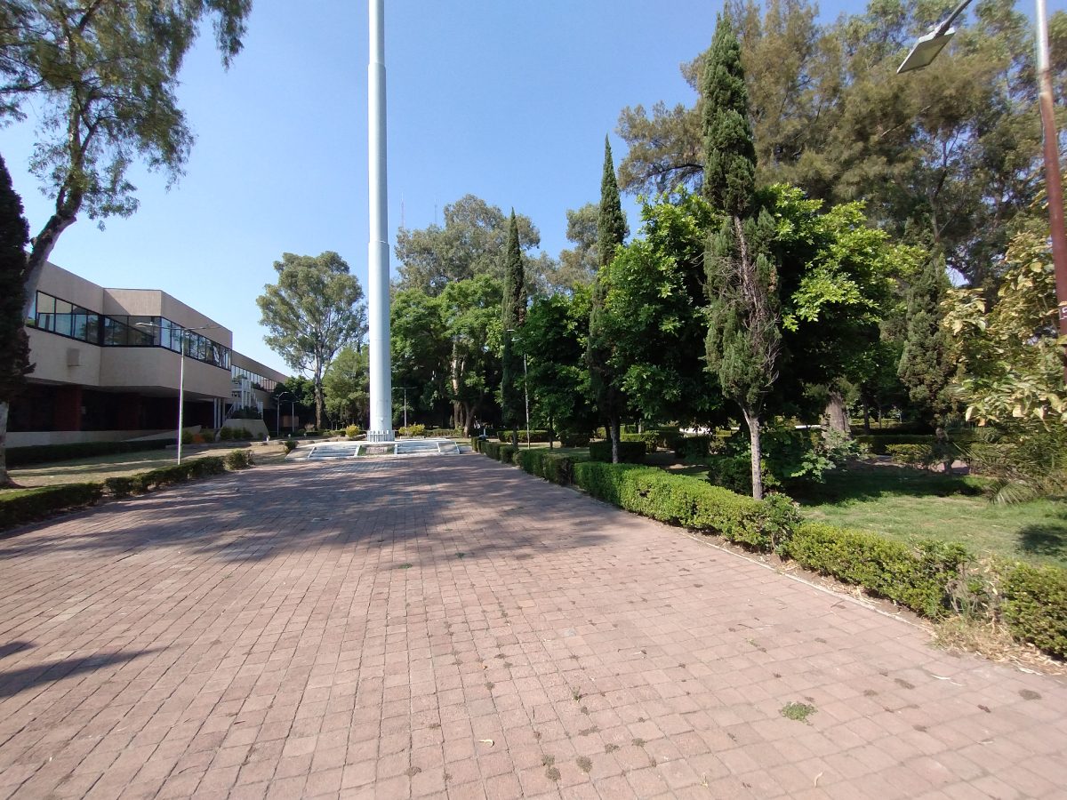 moto g52 primeras impresiones 2 foto