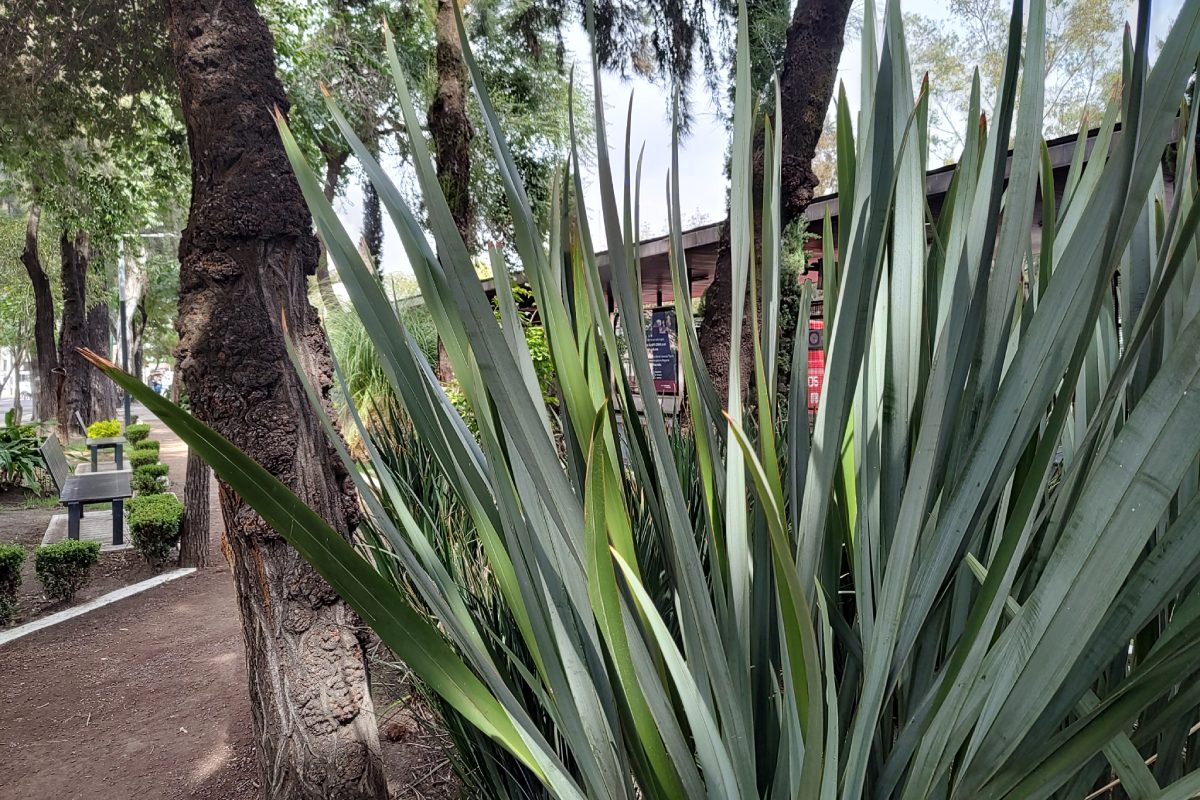 motorola edge 30 analisis revision 5 foto