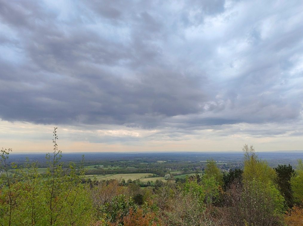 realme gt 2 pro oneplus 10 captura web 1 6 2022 114518 www digitaltrends com