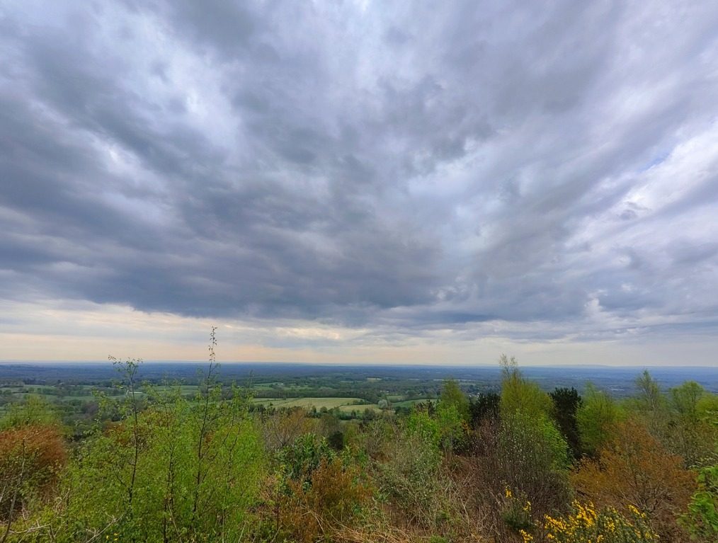 realme gt 2 pro oneplus 10 captura web 1 6 2022 114533 www digitaltrends com