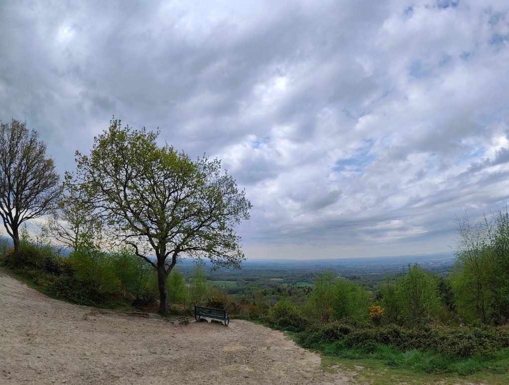 realme gt 2 pro oneplus 10 captura web 1 6 2022 11454 www digitaltrends com