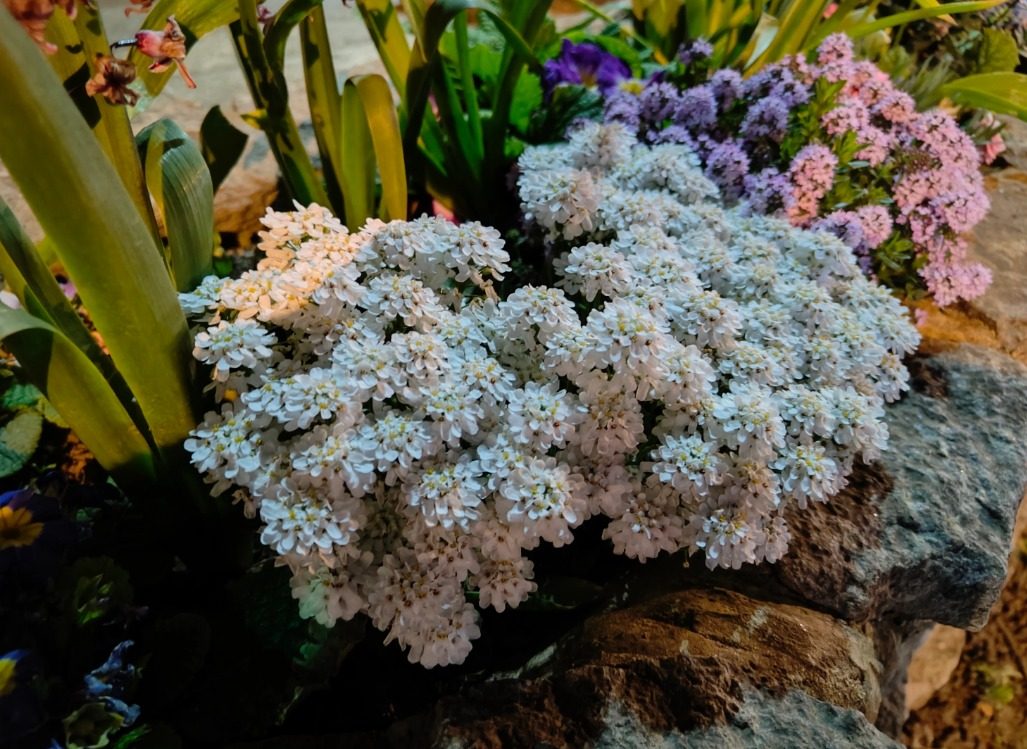 realme gt 2 pro oneplus 10 captura web 1 6 2022 114616 www digitaltrends com