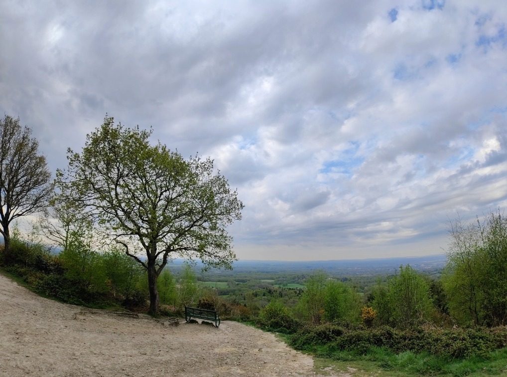 realme gt 2 pro oneplus 10 captura web 1 6 2022 114640 www digitaltrends com