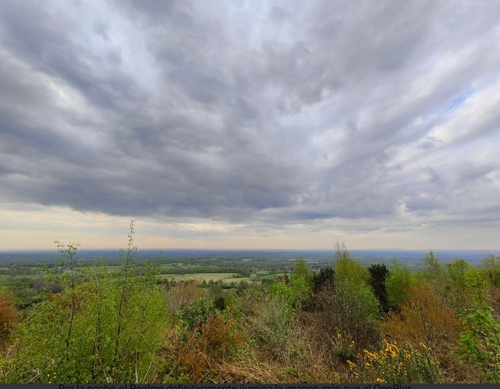 realme gt 2 pro oneplus 10 captura web 1 6 2022 114657 www digitaltrends com