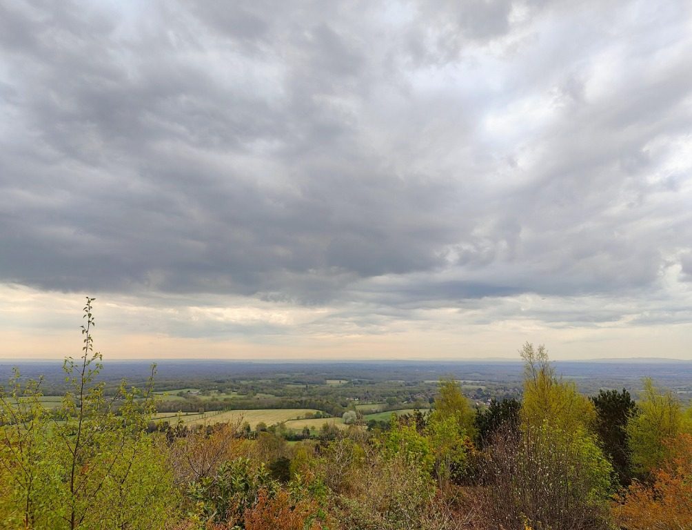 realme gt 2 pro oneplus 10 captura web 1 6 2022 114712 www digitaltrends com