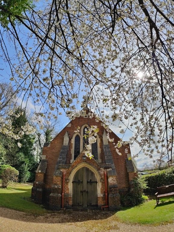 oneplus 10 pro camara 150 grados captura web 1 6 2022 15749 www digitaltrends com