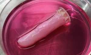 dedo robot piel humana rob  tico