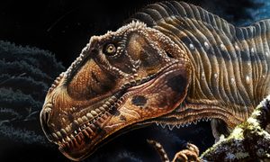 meraxes gigantes dinosaurio game of thrones gigante