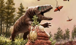 calentamiento global genero desarrollo reptiles p  rmico