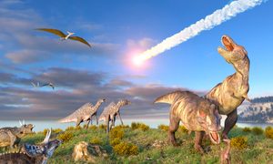 segundo meteorito habria terminado con los dinosaurios africa end of cretaceous kt event  illustration