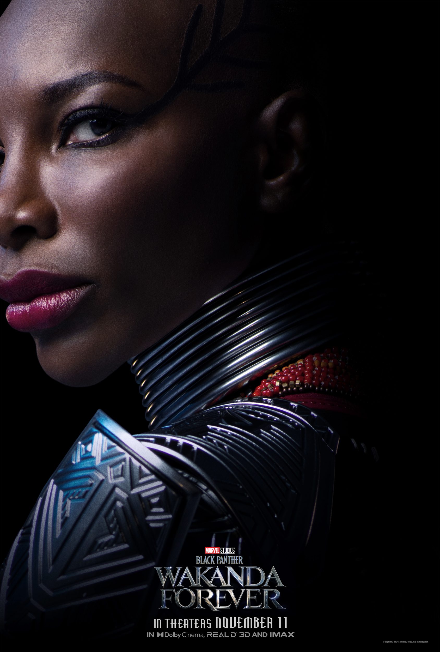 black panther wakanda forever posters personajes
