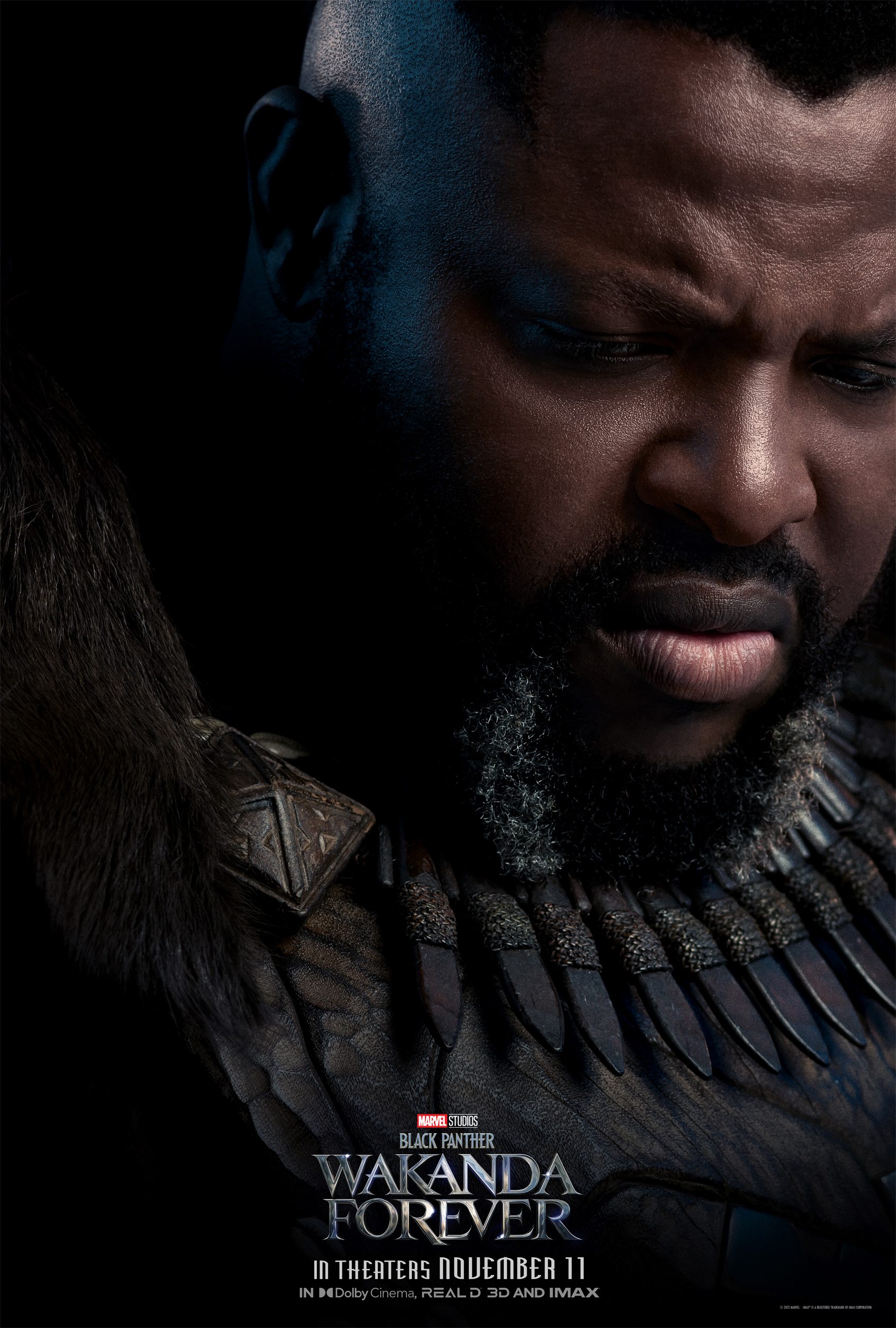 black panther wakanda forever posters personajes