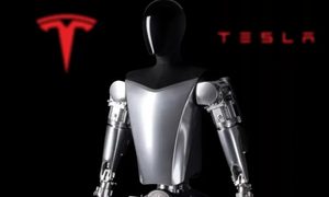 tesla optimus todo sobre el robot bot